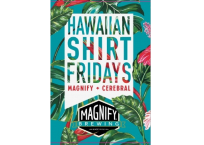 Hawaiian Shirt Fridays