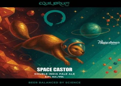 Space Castor