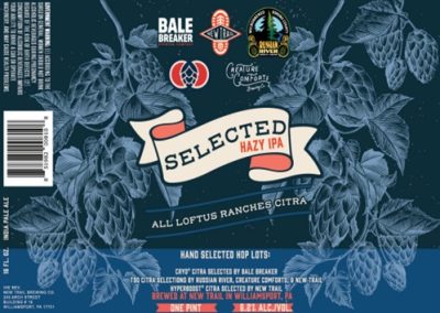 Selected Hazy IPA