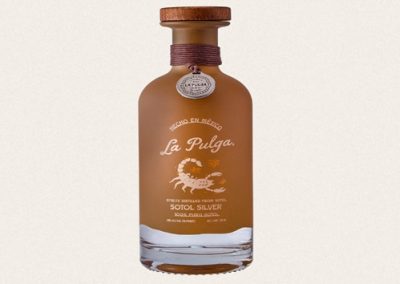 Silver Sotol